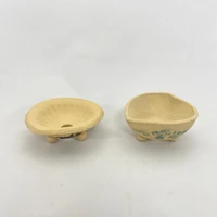 画像256