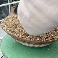 画像391