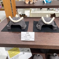 画像509