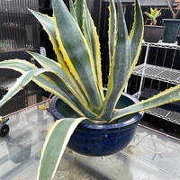 画像573