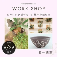 画像711