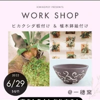 画像757