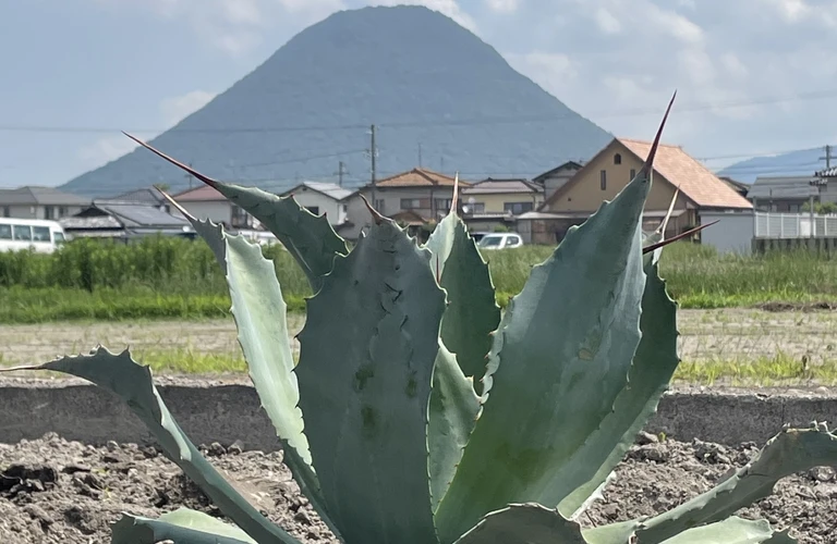 香川の自然を感じながら、手作りの楽しさを体験しよう！